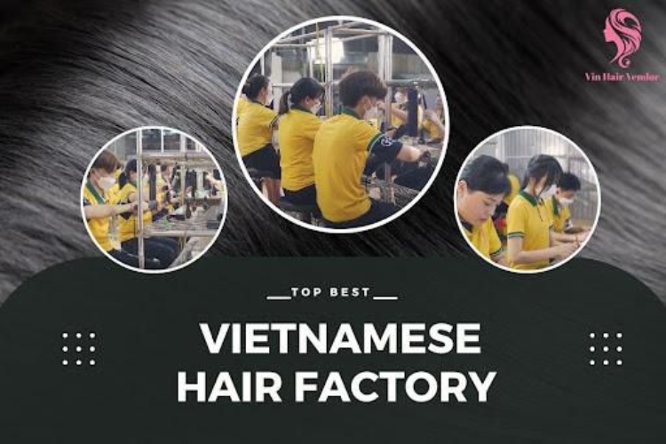 Vin Hair is a Vietnamese hair factory in Hanoi Vin Hair is a Vietnamese hair factory in Hanoi