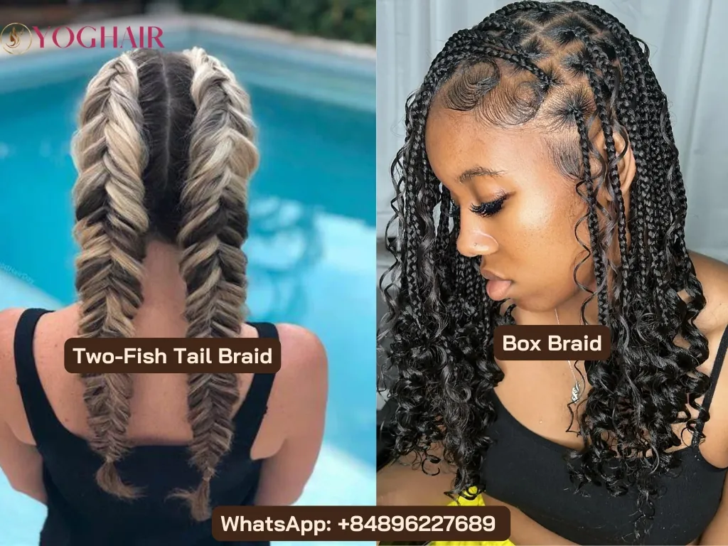 Ultimate Guide for Difference Types of Curly Weave Hair 14 Two-fish tail braid vs Box braid