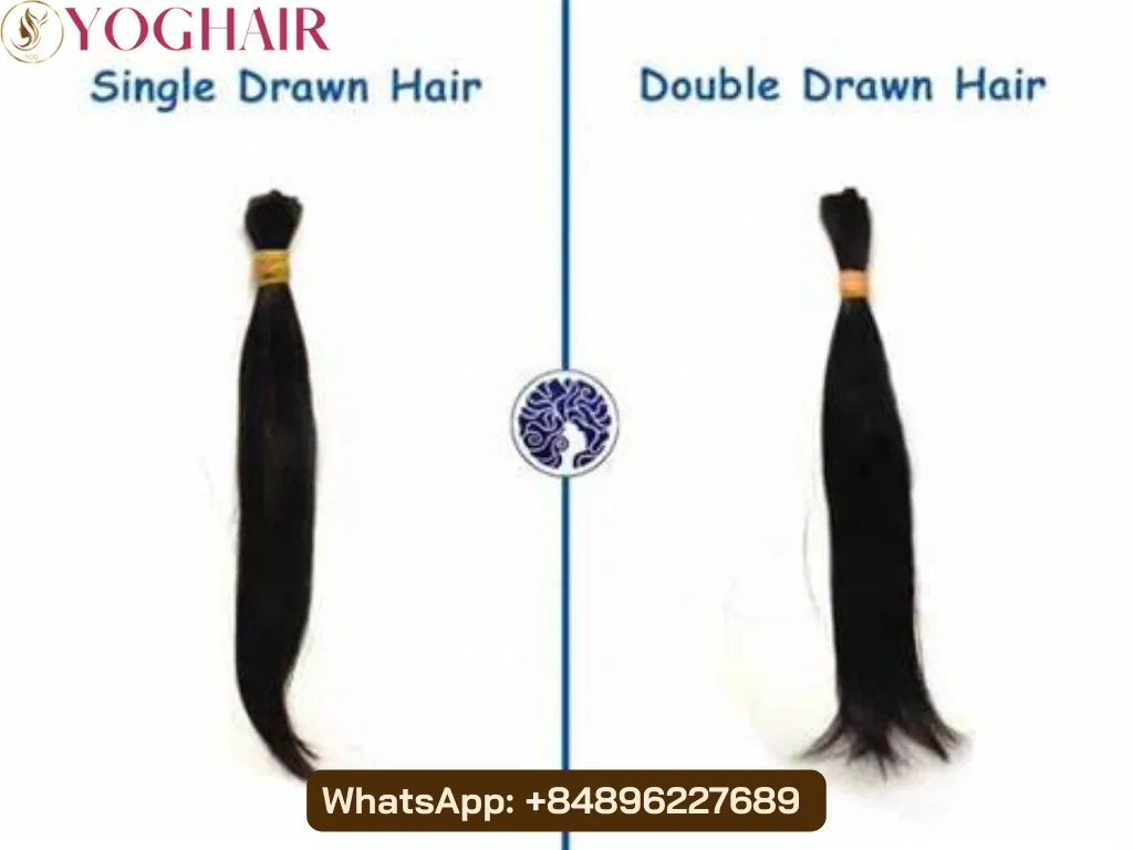 Double Drawn Hair: Unlock The Secret To Fuller, Natural Extensions 4 Comparing to Single Drawn Hair