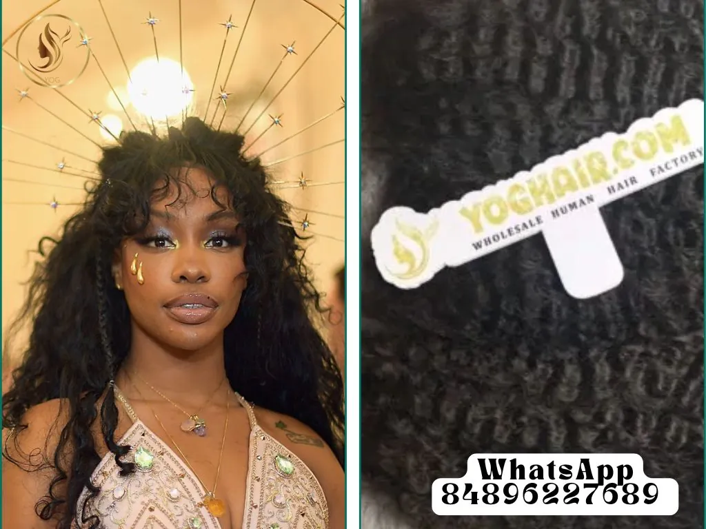 The combination of braids and embellishments