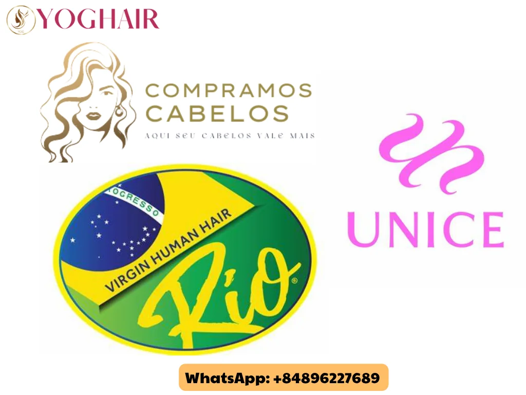 Top 3 Brazilian Hair Vendors