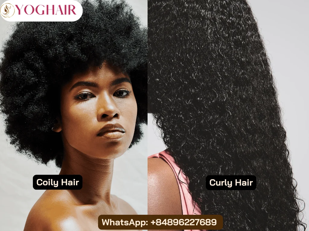 Kinky vs Curly Hair: Differences & Ultimate Care Guide 7 Coily and Curly Hair