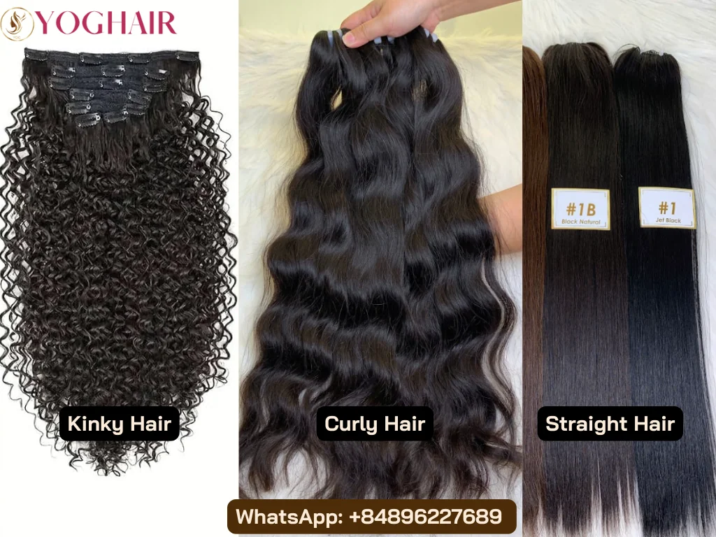 Kinky vs Curly Hair: Differences & Ultimate Care Guide 5 Kinky hair vs Curly hair vs Straight hair at YOGHAIR