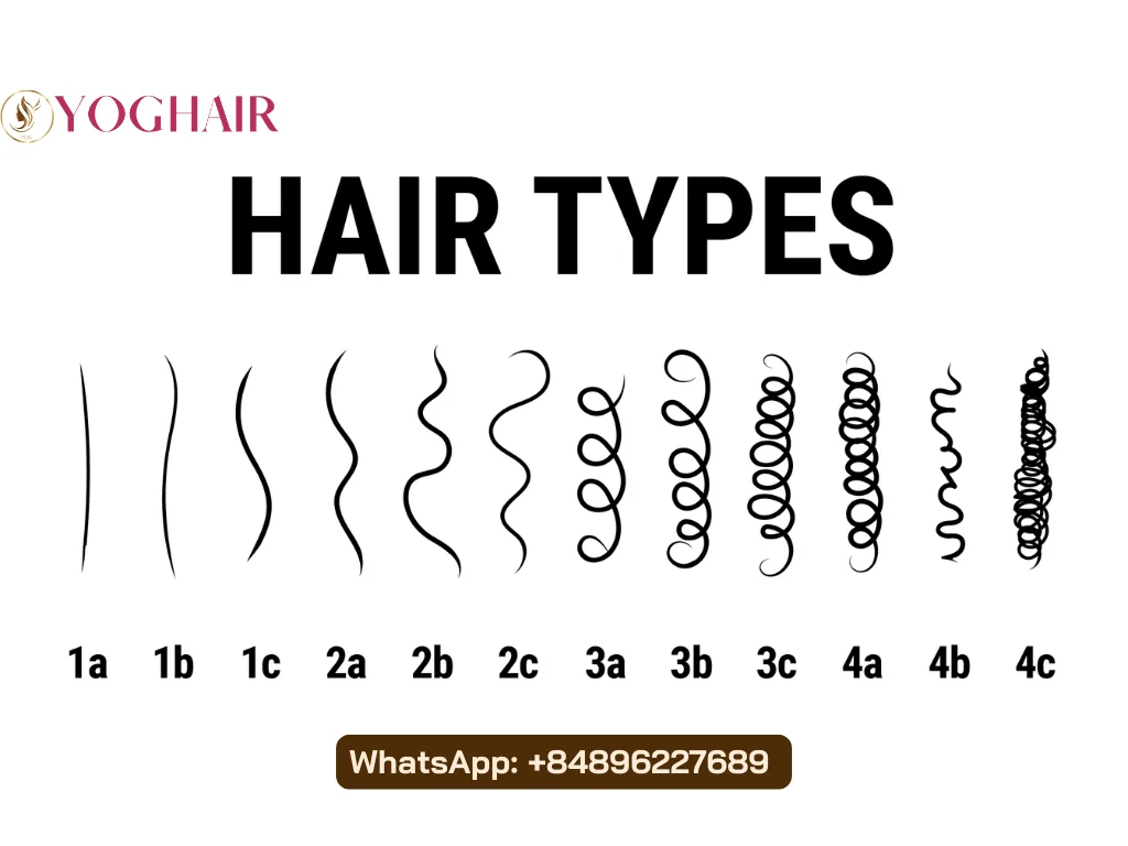 4a, 4b and 4c Hair Guide: What's The Difference? 6 Visual Differences Between Hair Types